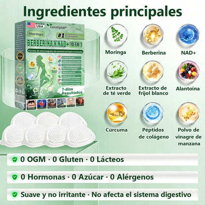 𝐂𝐚𝐫𝐞𝐔𝐩𝐥𝐢𝐟𝐭® 𝑴𝒐𝒓𝒊𝒏𝒈𝒂 & 𝑩𝒆𝒓𝒃𝒆𝒓𝒊𝒏𝒆 𝟏𝟎-𝐈𝐍-𝟏 𝐀𝐝𝐯𝐚𝐧𝐜𝐞𝐝 𝐍𝐚𝐧𝐨 𝐌𝐢𝐜𝐫𝐨𝐧𝐞𝐞𝐝𝐥𝐞 𝐏𝐚𝐭𝐜𝐡